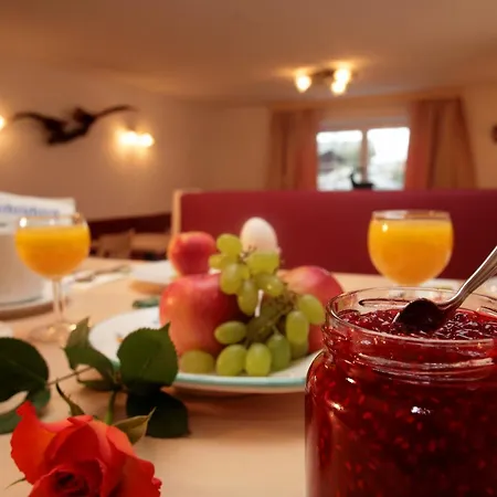 Waidmannsheil Appart hôtel 4*