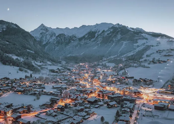 外丹曼舍勒公寓酒店 公寓式酒店