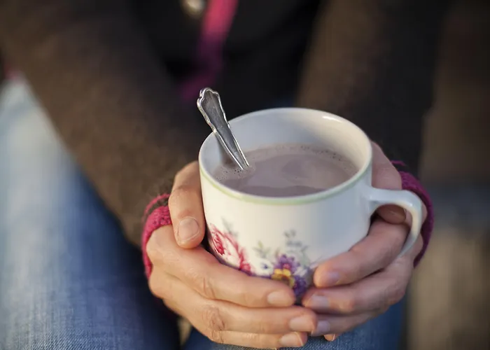 外丹曼舍勒公寓酒店 卡普伦